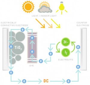 Dye Sensitized Solar Cells_cycle